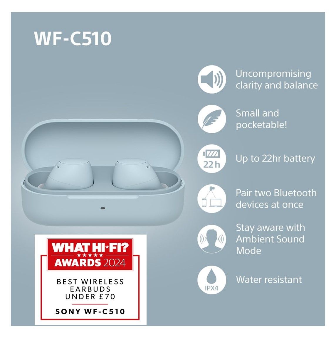 Sony WFC510L.CE7 Wireless In ear headphones - Blue